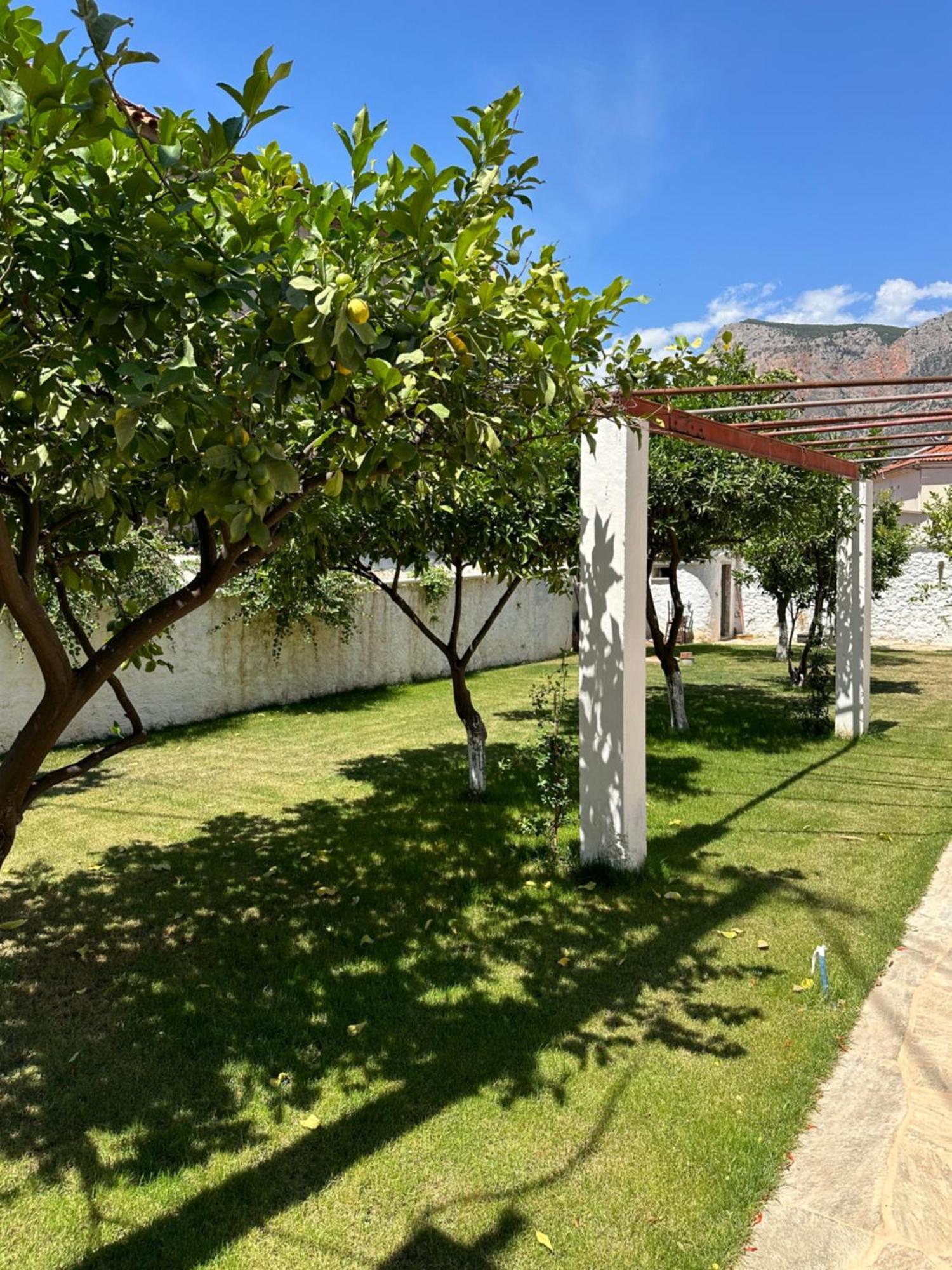 Alexander House 2 Βίλα Λεωνίδιο Εξωτερικό φωτογραφία