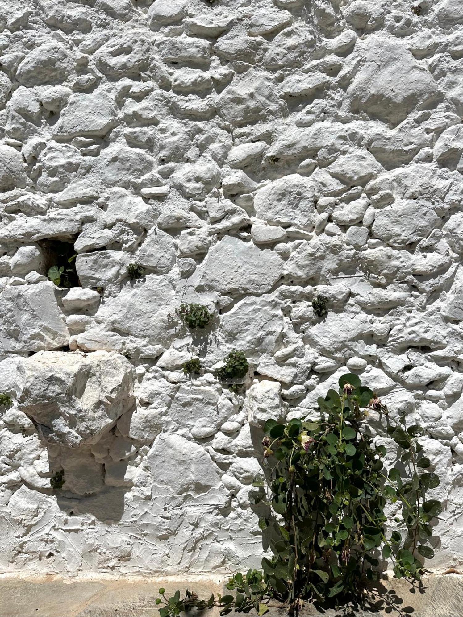 Alexander House 2 Βίλα Λεωνίδιο Εξωτερικό φωτογραφία